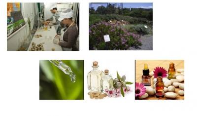 Byliny obsažené v BioAroma