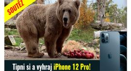 Vyhrajte Apple iPhone 12 Pro s WEDOSem a pojisteni.cz