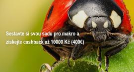 OM System cashback: získejte až 10 000 Kč zpět na FotoŠkoda