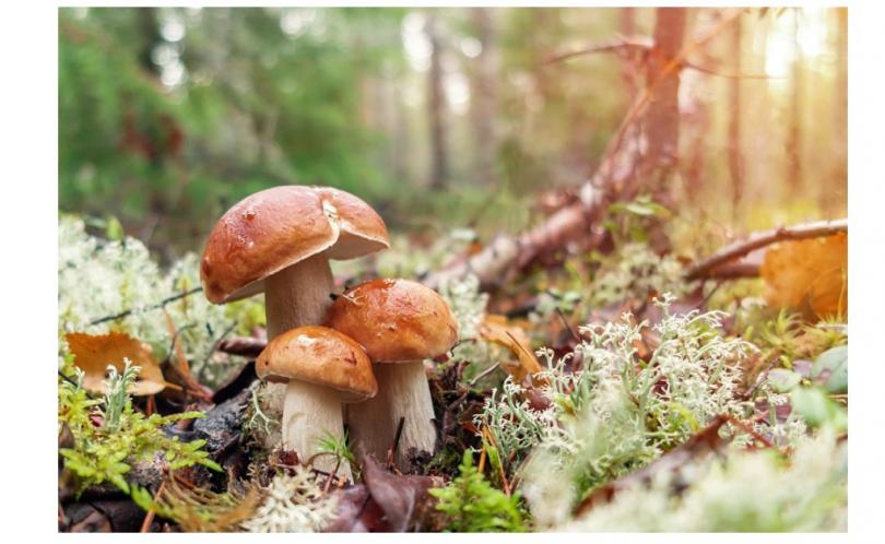 Concept.cz slevový kupón