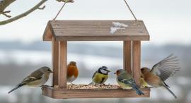 Dopřejte ptáčkům něco navíc z OBI.cz