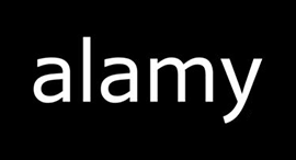 20% off all Alamy imagery