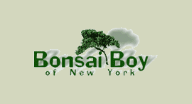 Bonsaiboy.com