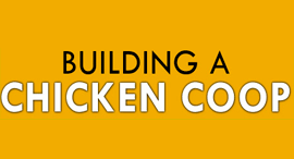 Buildingachickencoop.com