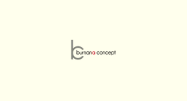 Burnanaconcept.com