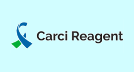 Carcireagent.eu