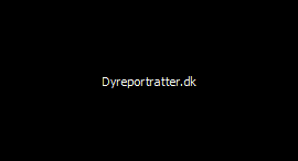 Dyreportratter.dk