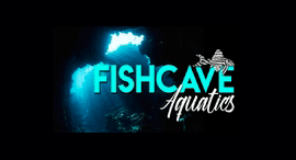 Fishcaveaquatics.co.uk