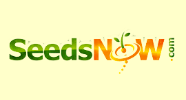 Seedsnow.com