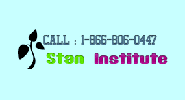 Staninstitute.com