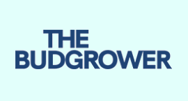 Thebudgrower.com