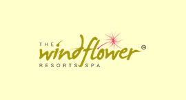 Thewindflower.com